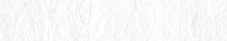 新潟こがねもち 1kg 1