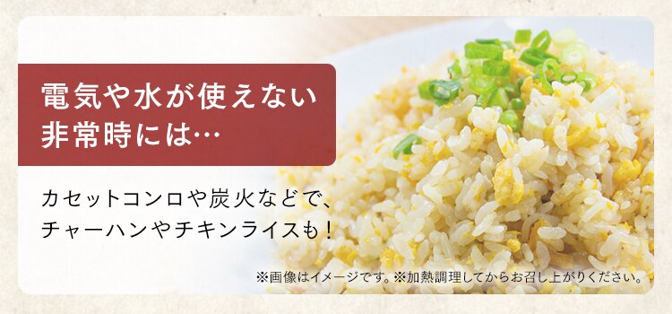 【48食】 長期保存 パックご飯 180g 5年 12食&times;4 16