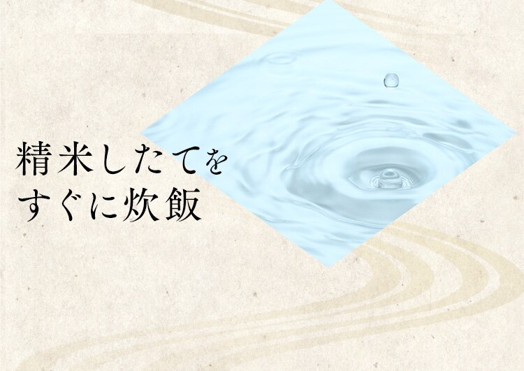 【48食】 長期保存 パックご飯 180g 5年 12食&times;4 12
