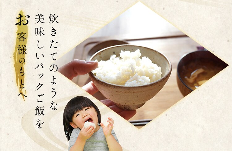【48食】 長期保存 パックご飯 180g 5年 12食&times;4 14