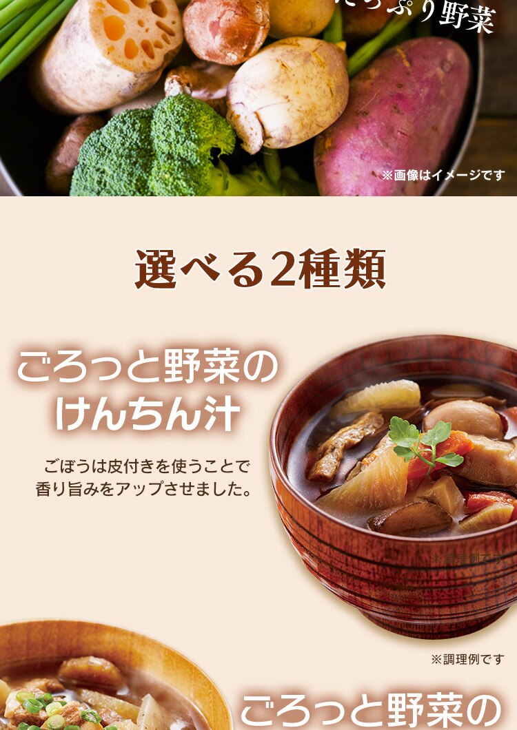 【12個】 けんちん汁 500g 保存食2