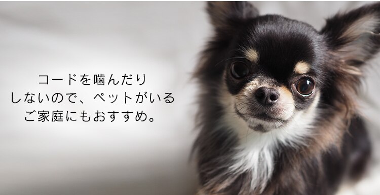 扇風機 壁掛け 左右首振り WFM-306 ホワイト8