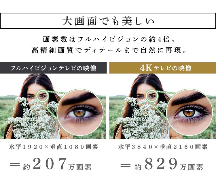 テレビ 65V型 4K対応 Fiona 65UB10PB【代引き不可】4