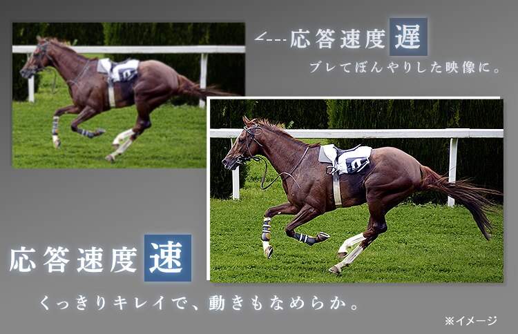 テレビ 65V型 4K対応 Fiona 65UB10PB【代引き不可】10