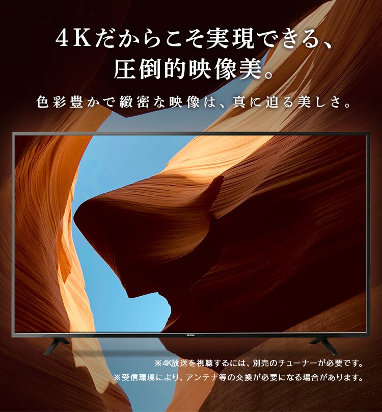 テレビ 65V型 4K対応 Fiona 65UB10PB【代引き不可】3