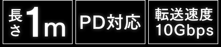 【メール便】【2個セット】USB-C to USB-Cケーブル 1m(GEN2) ICCC-B10-B ブラック【代引き不可】1
