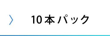 【メール便】 【10本パック】 アルカリ乾電池 単4形 BIGCAPA basic LR03Bb/10P【代引き不可】12