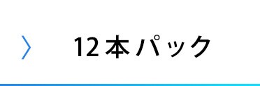 【メール便】 【10本パック】 アルカリ乾電池 単4形 BIGCAPA basic LR03Bb/10P【代引き不可】14