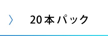 【メール便】 【10本パック】 アルカリ乾電池 単4形 BIGCAPA basic LR03Bb/10P【代引き不可】16