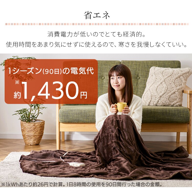 電気毛布 188×130 掛け敷きタイプ 省エネ室温センサー付 自動切タイマー付 EHB-F1813-DT 洗える フランネル素材 ダークブラウン【前払い不可】【代引き不可】【同梱不可】6
