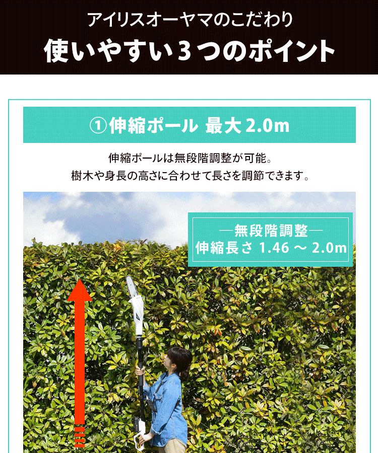 高枝バサミ 剪定 ポールチェーンソー 18V 充電式 バッテリー付き JPC15183