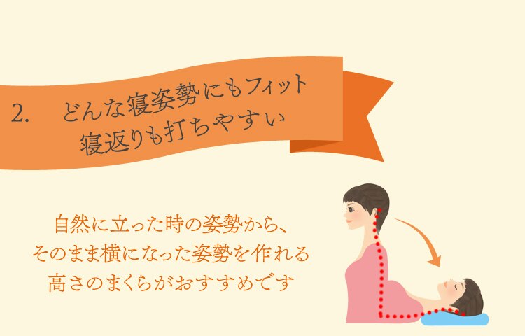 2.どんな寝姿勢にもフィット寝返りも打ちやすい