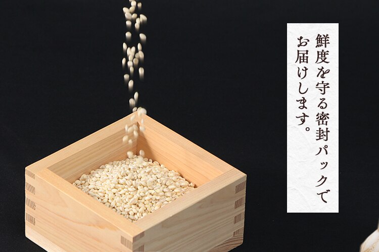 【10個セット】宮城県産つや姫 もち麦ミックス 300g2