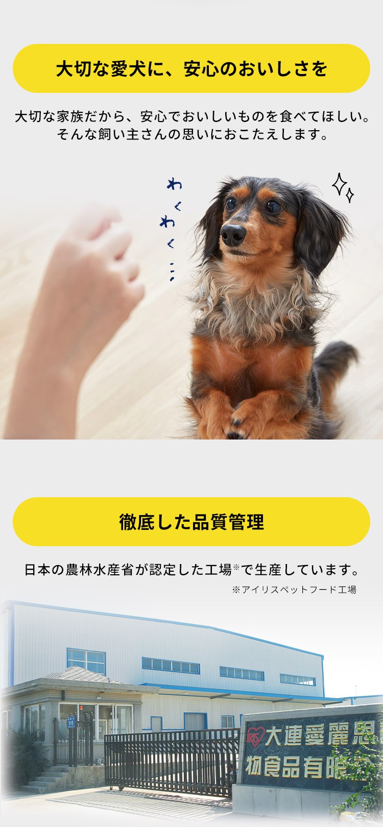 まるごと肉巻きジャーキーガム 40本 P-IJ-GT40 犬 歯磨き デンタルケア1