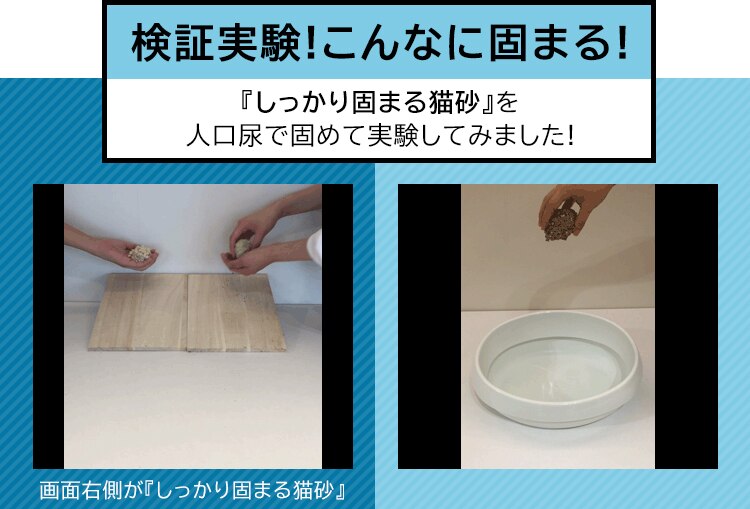 【3袋セット】 しっかり固まる猫砂 10L 鉱物 猫砂4