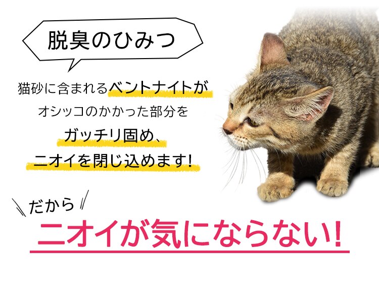 【3袋セット】 しっかり固まる猫砂 10L 鉱物 猫砂9
