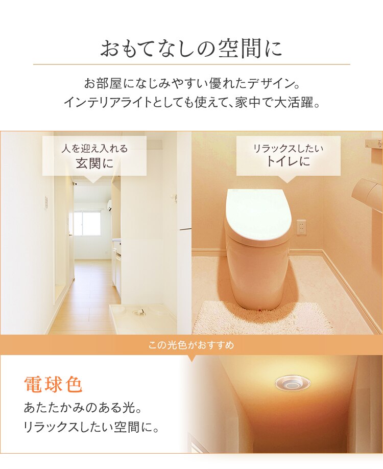 【2個セット】パネルライト 小型 LED 750lm 電球色 玄関 廊下 キッチン 洗面所 クローゼット トイレ 物置 照明 SCL-75L-LGP6