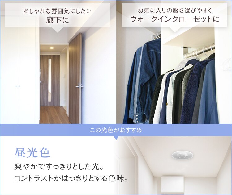 【2個セット】パネルライト 小型 LED 1500lm 昼光色 玄関 廊下 キッチン 洗面所 クローゼット トイレ 物置 照明 SCL-150D-LGP7