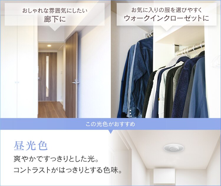 【2個セット】パネルライト 小型 LED 1500lm 人感センサー付 昼光色 玄関 廊下 キッチン 洗面所 クローゼット トイレ 物置 照明 SCL-150DMS-LGP7