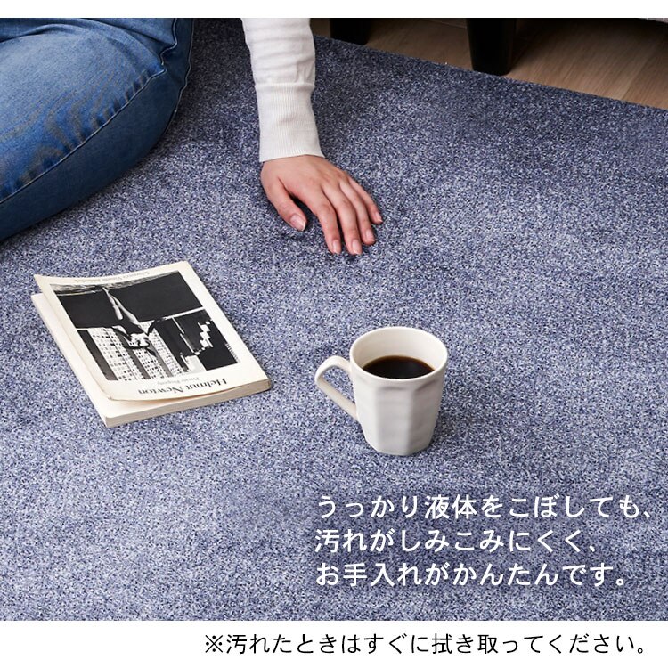 ラ・クッションラグ ACRB-1318 ブラウン13