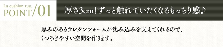 肉厚3cm!ずっと触れていたくなるもっちり感♪