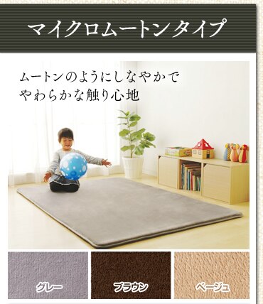 �}�C�N�����[�g���^�C�v