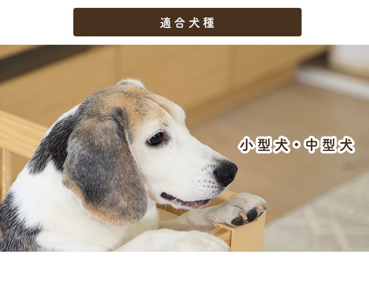 ナチュラルウッドサークル ナチュラル NWC-126012