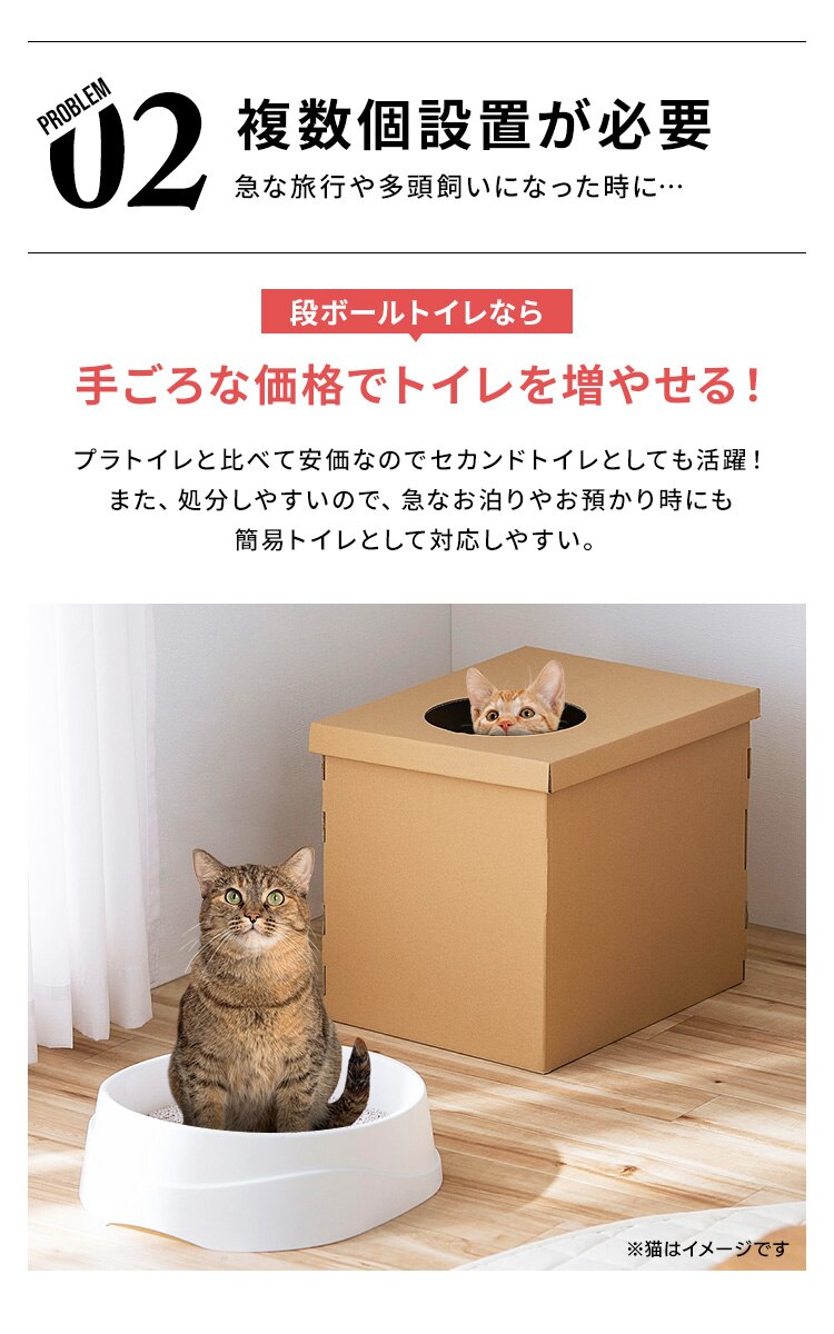 上から猫トイレ 段ボール2