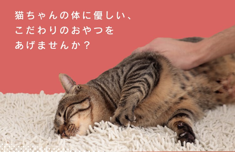 ねこ用ナピューレ まぐろ24本 P-NNM242