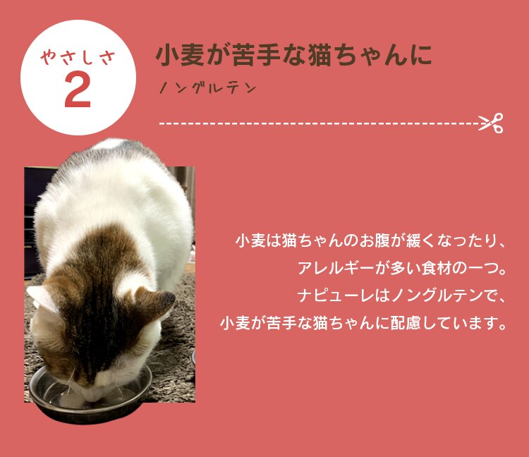 ねこ用ナピューレ まぐろ24本 P-NNM245