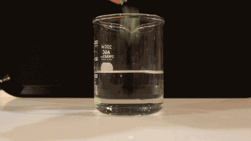 【4袋セット】 おからの猫砂 7L 木 茶 猫砂4