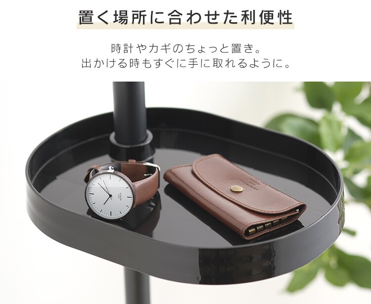 突っ張り棒 ポールハンガー 伸縮 SSP-280 ブラック9