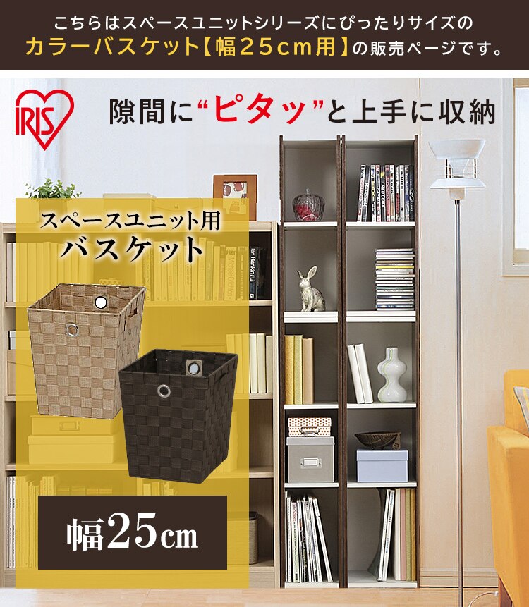 カラーバスケット CBK-22D ベージュ0