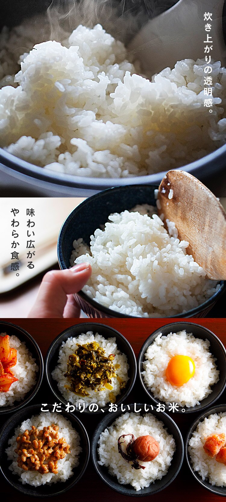 令和6年産 低温製法米 無洗米 秋田県産 あきたこまち 10kg1