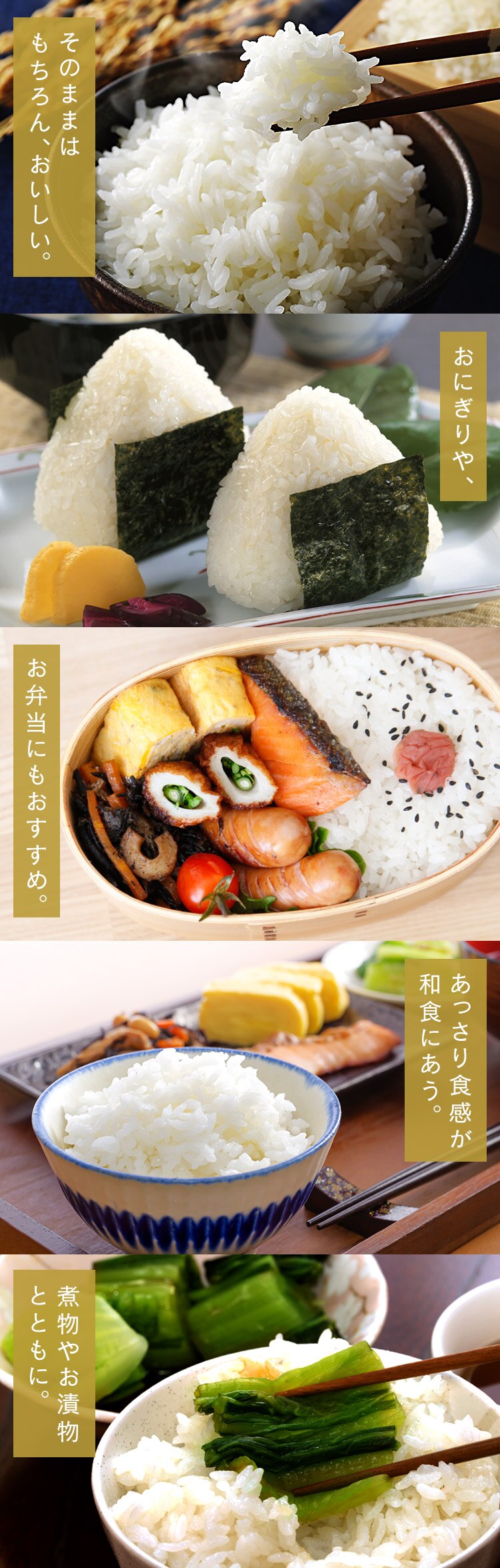 令和6年産 低温製法米 無洗米 秋田県産 あきたこまち 10kg3