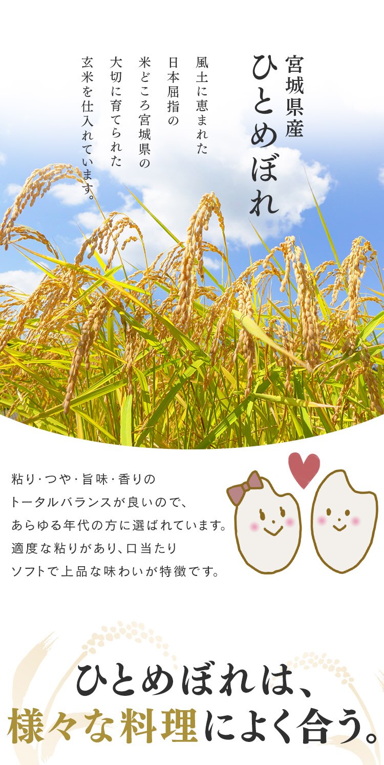 令和6年産 低温製法米 無洗米 宮城県産 ひとめぼれ 10kg2
