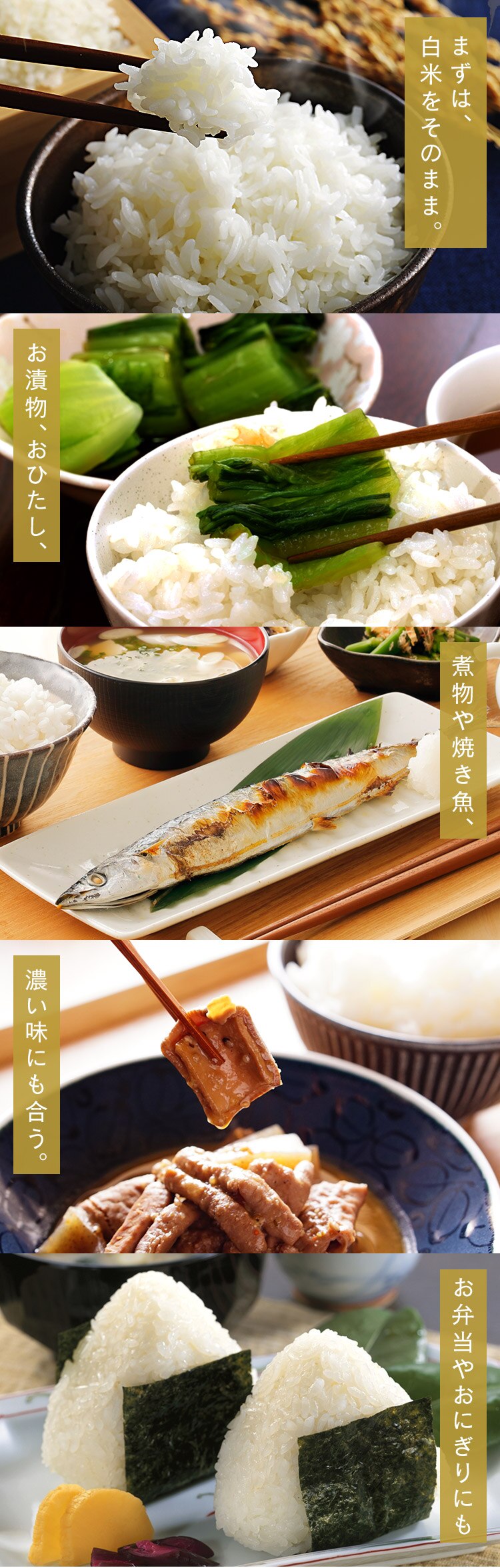 【10kg】 米 新潟県産 こしひかり 5kg&times;23