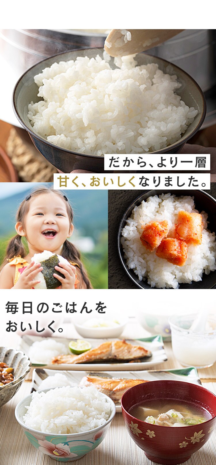 【10kg】 米 新潟県産 こしひかり 5kg&times;26