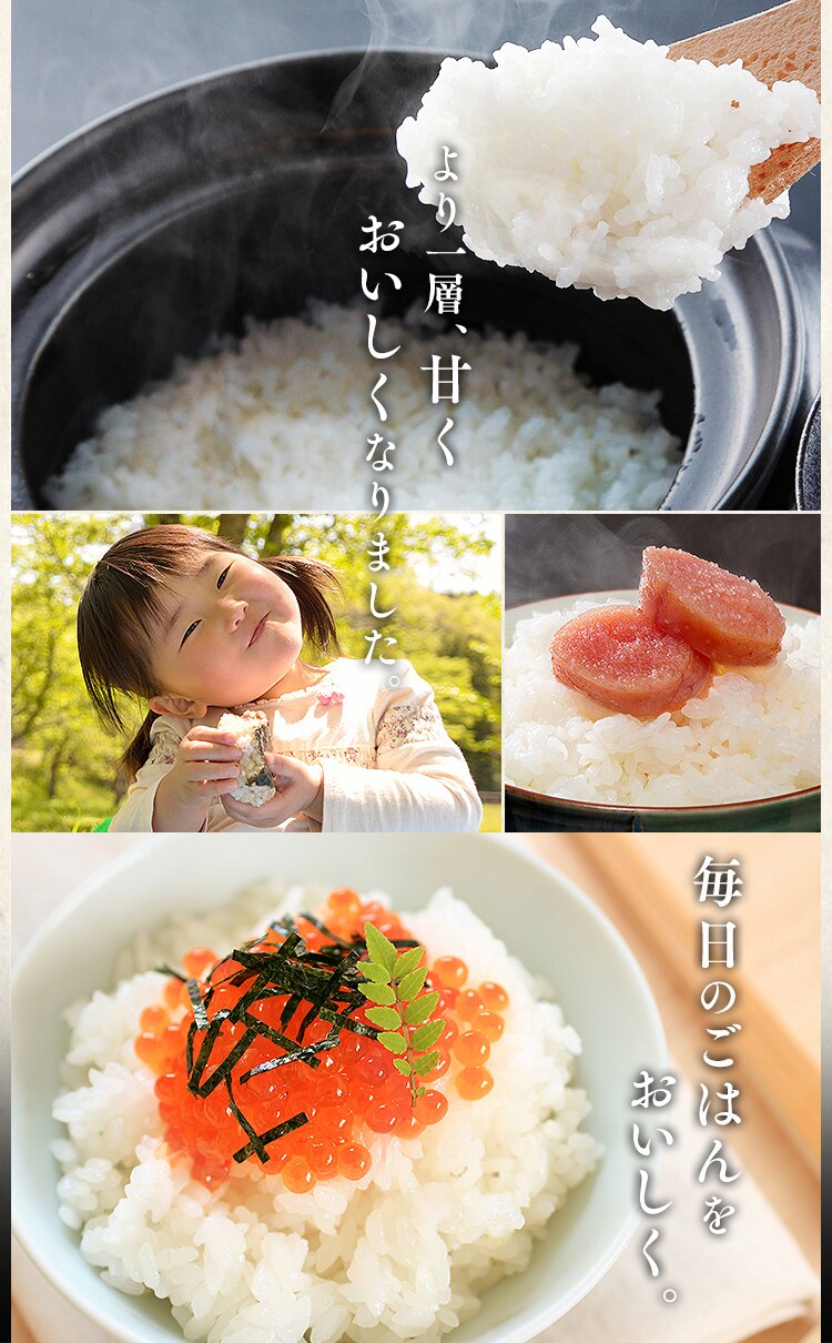 【訳あり】最短賞味期限 2026年 11月上旬　製法米ミルキークイーン 5kg&times;44