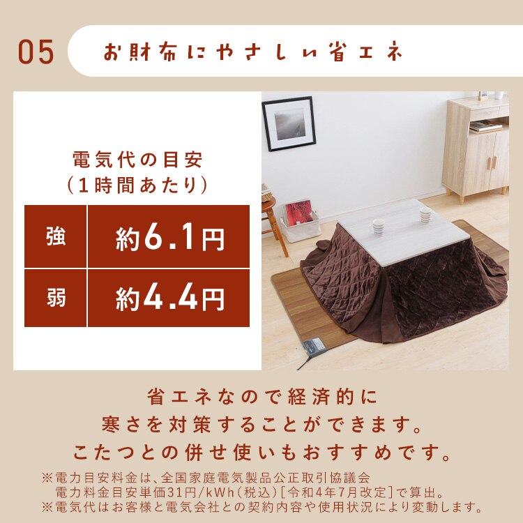 ホットカーペット 88&times;176 温度調節5段階 HCM-1809FL-M 撥水加工 お手入れ簡単 木目調6