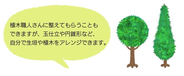 植木をアレンジ