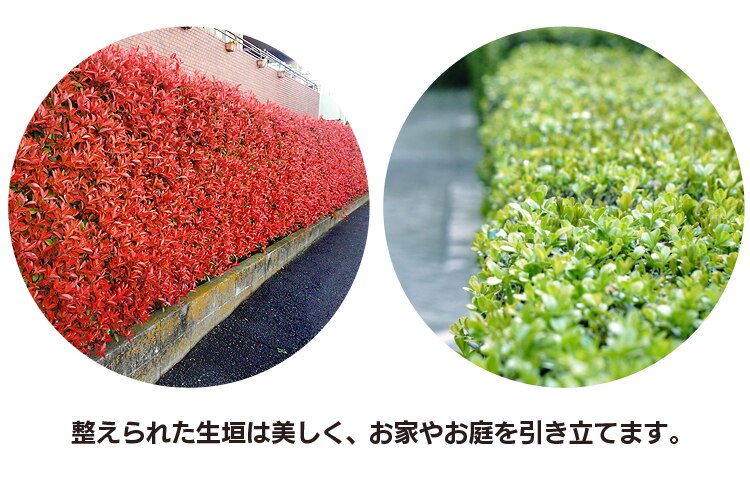 整えられた生垣は美しく、お家やお庭を引き立てます。