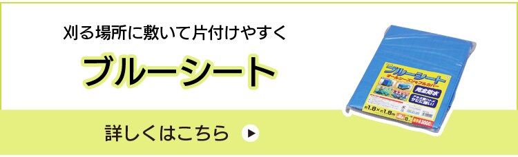 ブルーシート