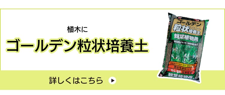 ゴールデン粒状培養土 