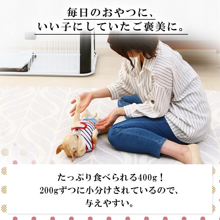 まるごとささみジャーキーセミハード 400g EJ-40SERN3