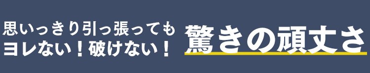 フローリングワイパー用ドライシート 30枚入り FWS-D304