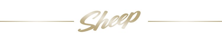 マットレス ダブル ポケットコイル 硬め 厚さ30cm PMTS30H-D Sheep13