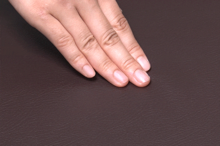 ペットステップ P&minus;STP ベージュ8