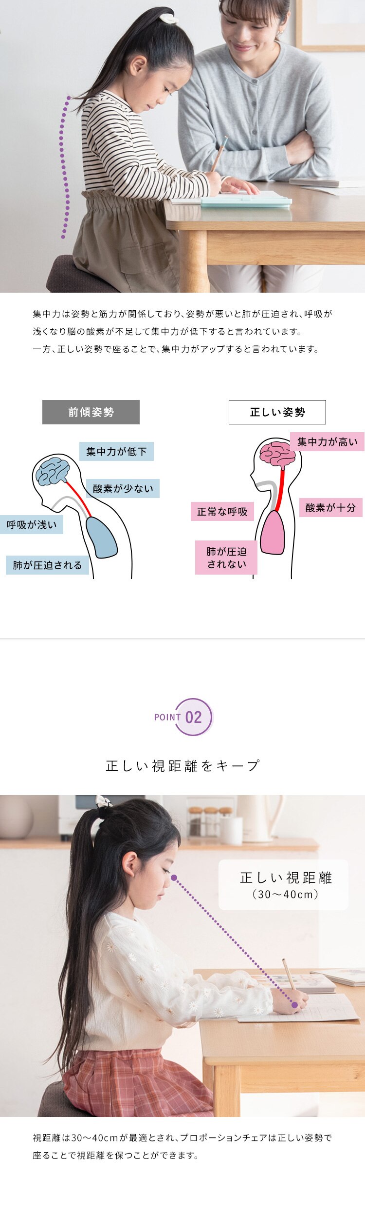 宮武製作所 プロポーションチェア CH-88W ローズ【時間指定不可】【代引き不可】4