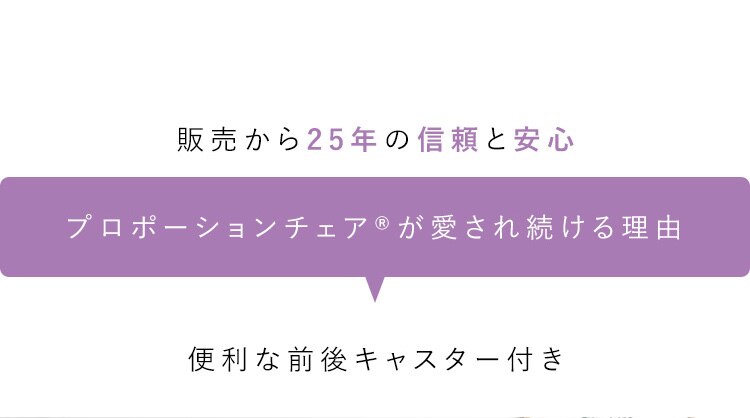 宮武製作所 プロポーションチェア CH-88W ローズ【時間指定不可】【代引き不可】6